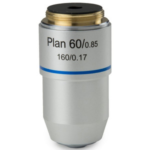 Euromex objetivo S100X/1.25 plan, sprung, oil-immersion, DIN, BB.8800 microscope objective (BioBlue.lab)